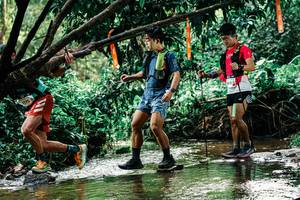 BIB: 
                            <button type="button" onclick="openModal(25269333)" class="btn btn-primary btn-sm float-right btn-popup" data-toggle="modal" data-target=".modal-high-quality">
                        <i class="fas fa-shopping-cart"></i> Add to Cart
                    </button>
                                            <button type="button" onclick="isThisMe(25269333, true)" class="btn btn-success btn-sm float-right btn-popup btn-isme hidden" data-toggle="tooltip" data-placement="bottom" title="นี่คือรูปของคุณใช่ไหม คลิกที่นี่เพื่อเอาเข้าอัลบั้ม">
                        <i class="fas fa-plus"></i> Add to album
                    </button>
                    <button type="button" onclick="isThisMe(25269333, false)" class="btn btn-warning btn-sm float-right btn-popup btn-isnotme hidden">
                        <i class="fas fa-ban"></i> Remove from album
                    </button>